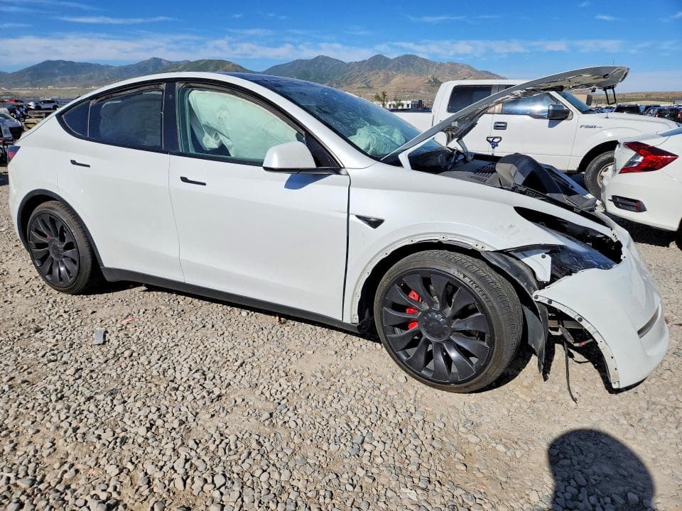 2023 TESLA MODEL Y 4