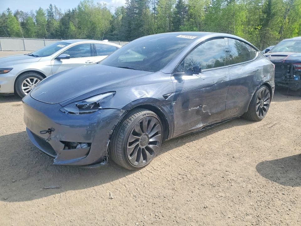 2022 TESLA MODEL Y - 1