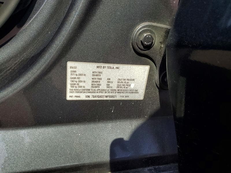 2022 TESLA MODEL Y 13