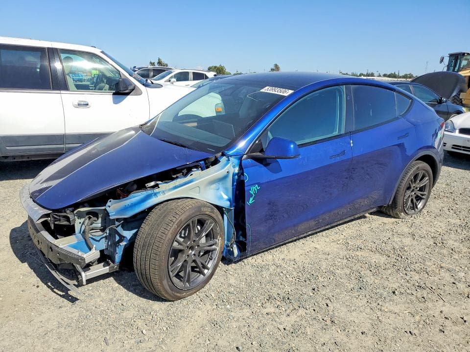 2025 TESLA MODEL Y - 1