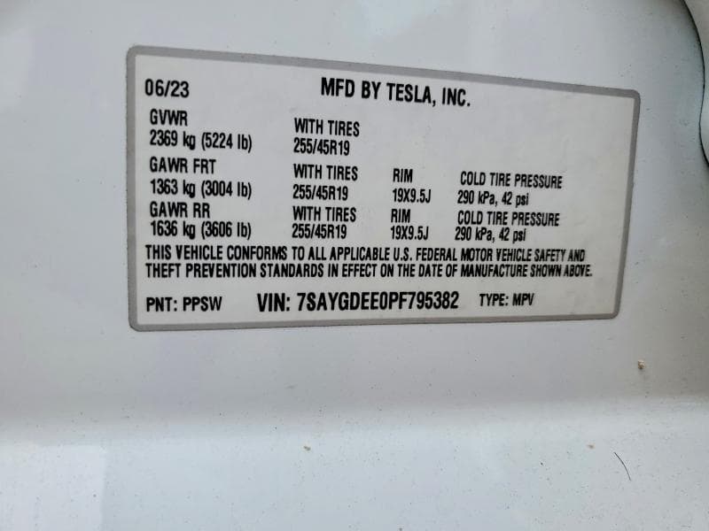 2023 TESLA MODEL Y 12