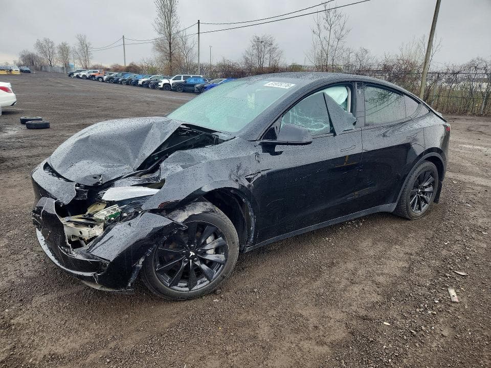 2023 TESLA MODEL Y - 1