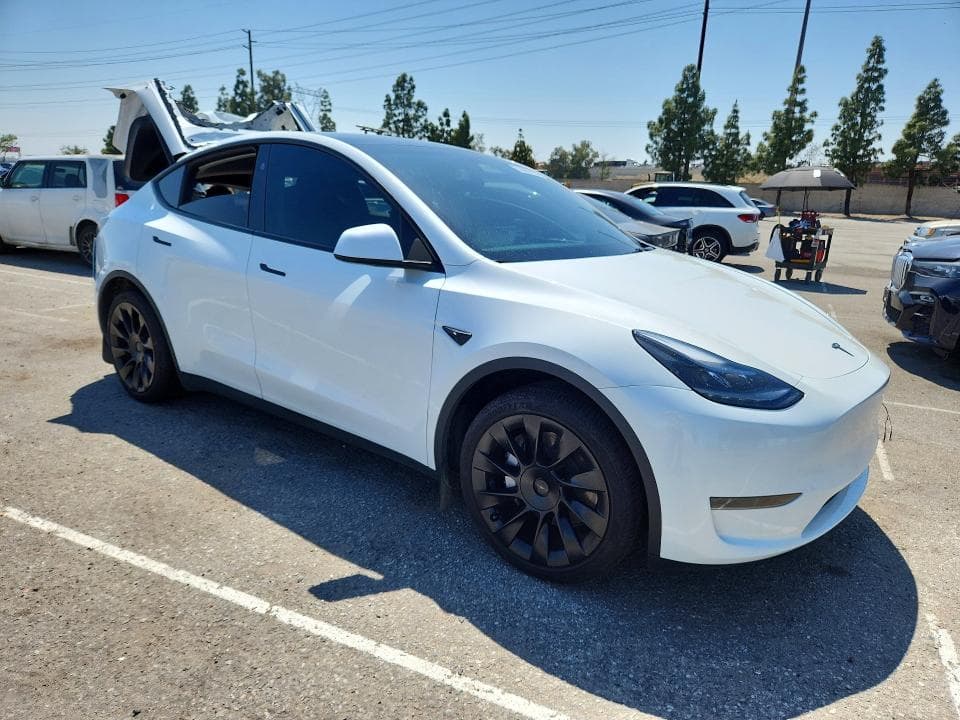2024 TESLA MODEL Y 4