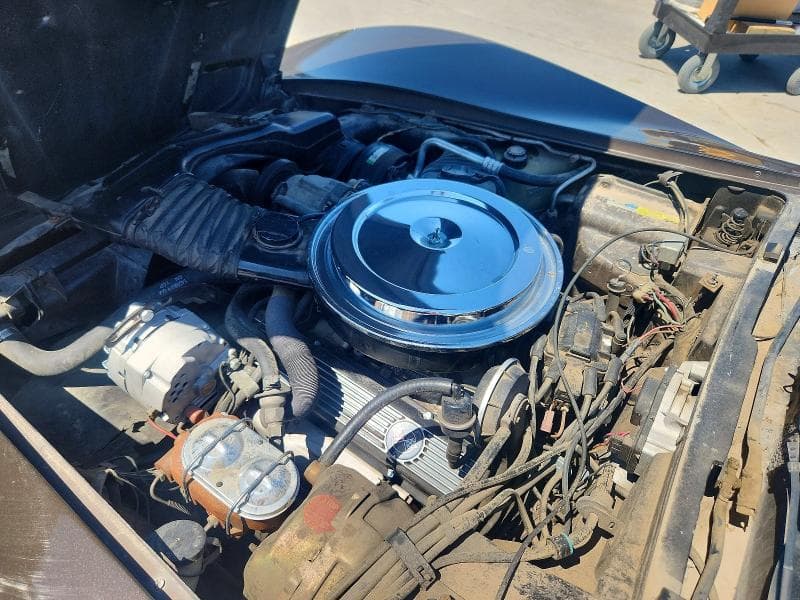 1980 CHEV CORVETTE 11