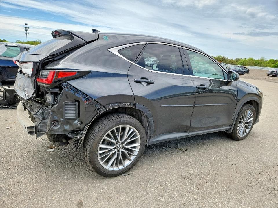 2022 LEXUS NX 350H 3