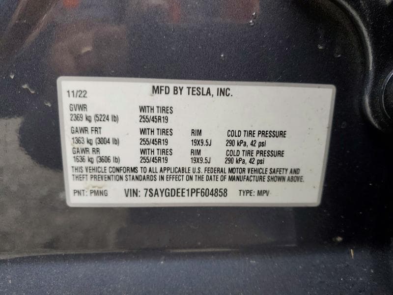 2023 TESLA MODEL Y 12