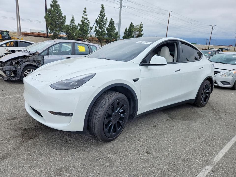 2024 TESLA MODEL Y - 1