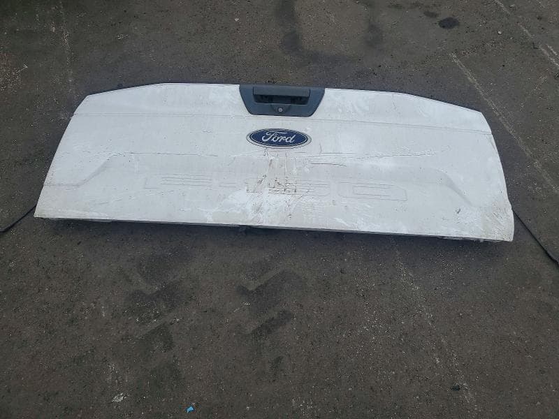 2019 FORD F150 12