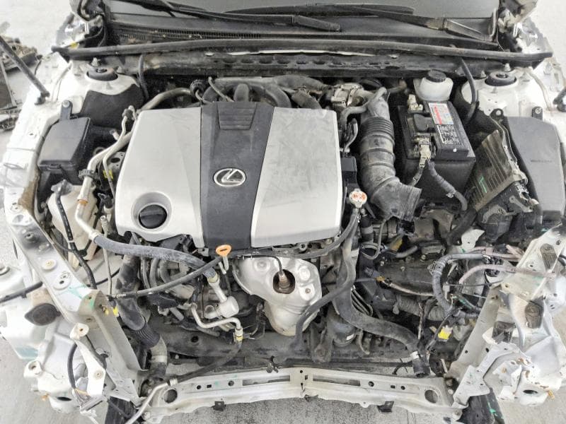 2019 LEXUS ES 350 11