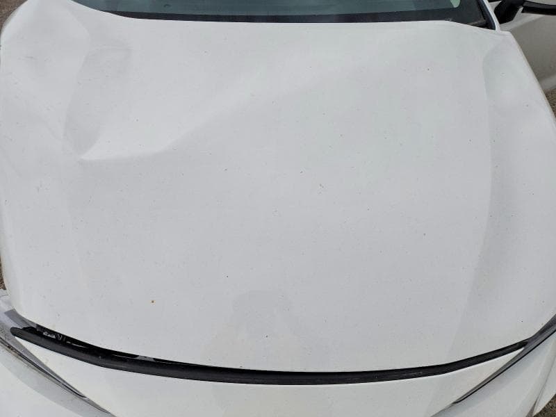2024 TOYOTA COROLLA HYBRID LE 11