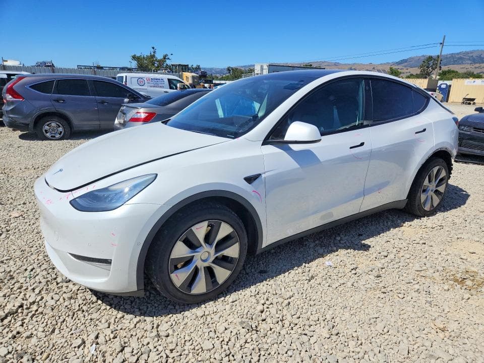 2021 TESLA MODEL Y