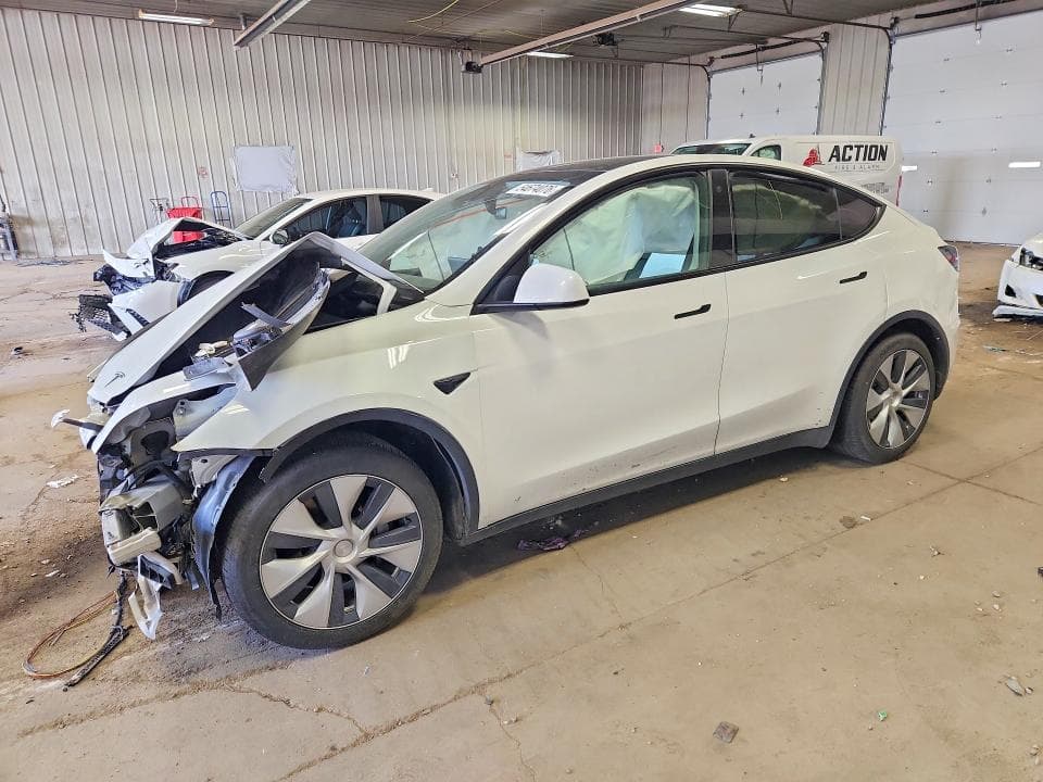 2021 TESLA MODEL Y - 1