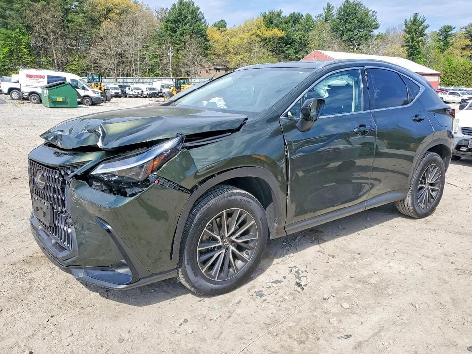 2024 LEXUS NX 350 PREMIUM - 1