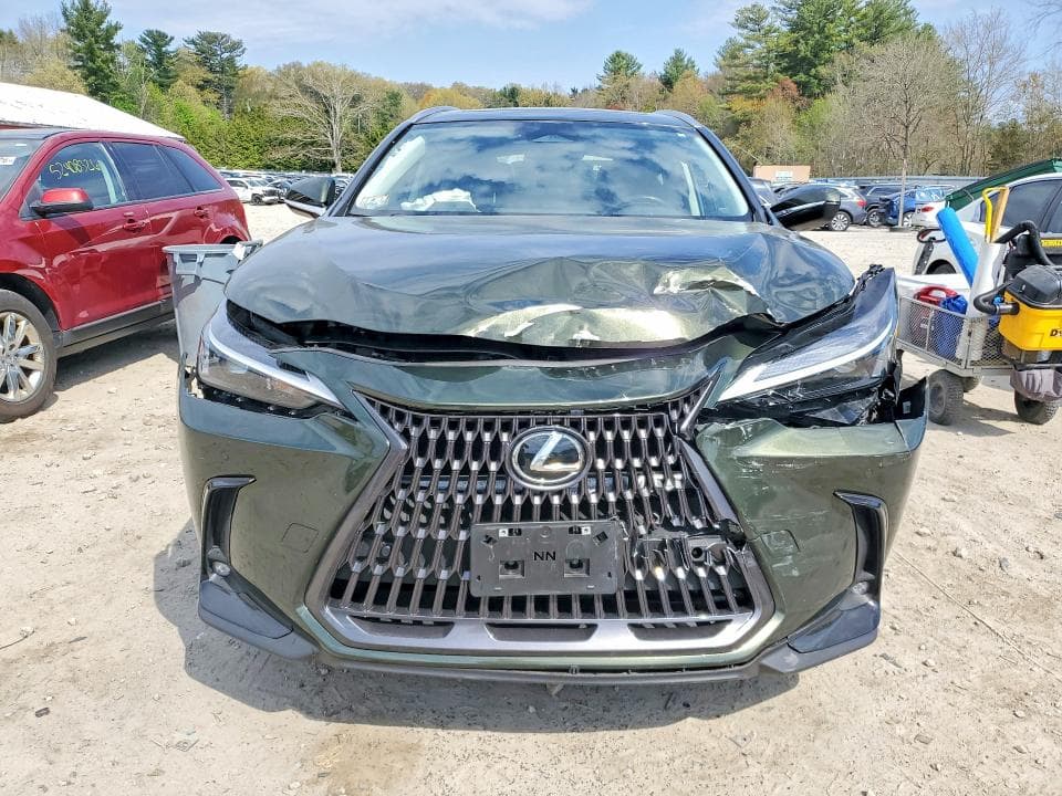 2024 LEXUS NX 350 PREMIUM 5