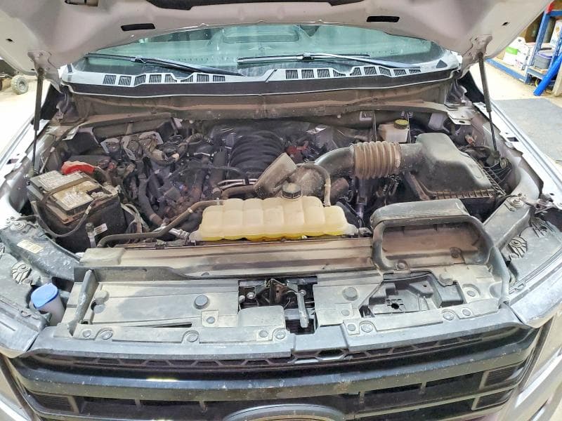 2023 FORD F150 SUPERCREW 11