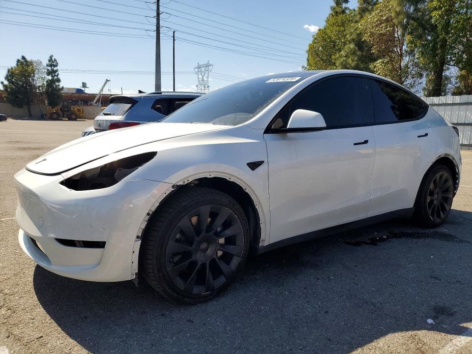 2023 TESLA MODEL Y - 1