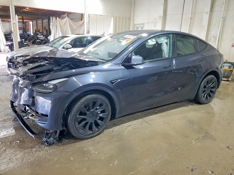2025 TESLA MODEL Y - 1