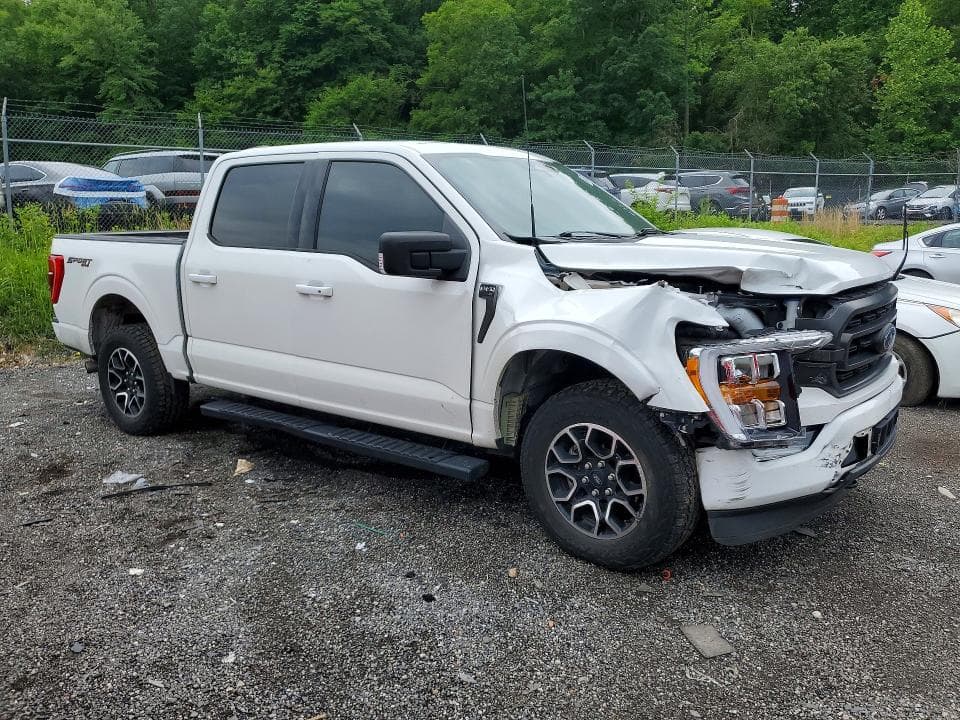 2023 FORD F150 SUPERCREW 4