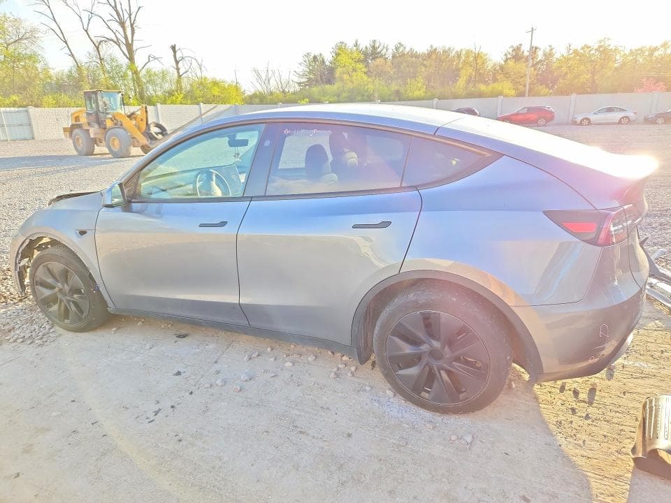 2024 TESLA MODEL Y 2