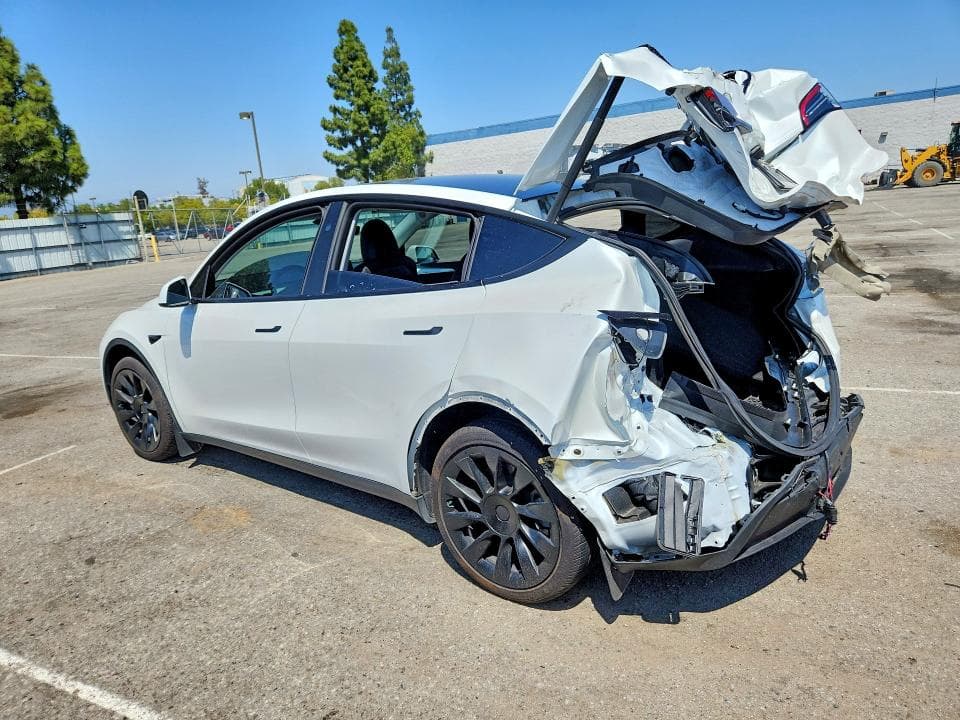 2024 TESLA MODEL Y 2