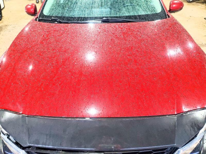 2019 NISSAN ALTIMA SL 11