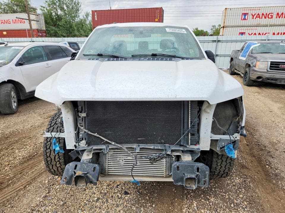2019 FORD F150 5