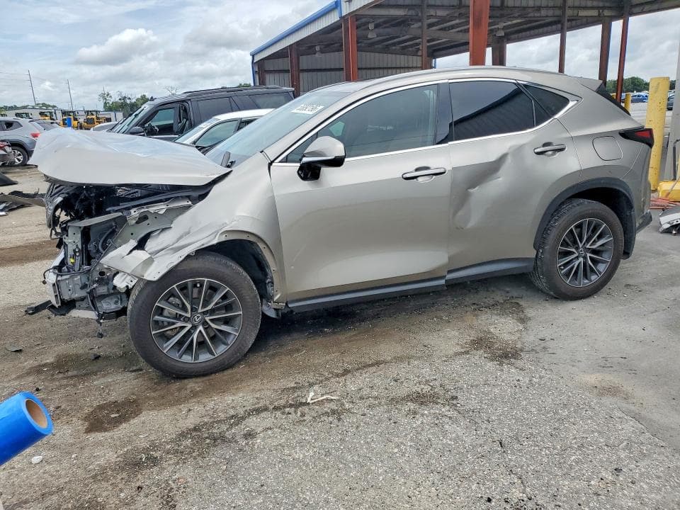 2025 LEXUS NX - 1