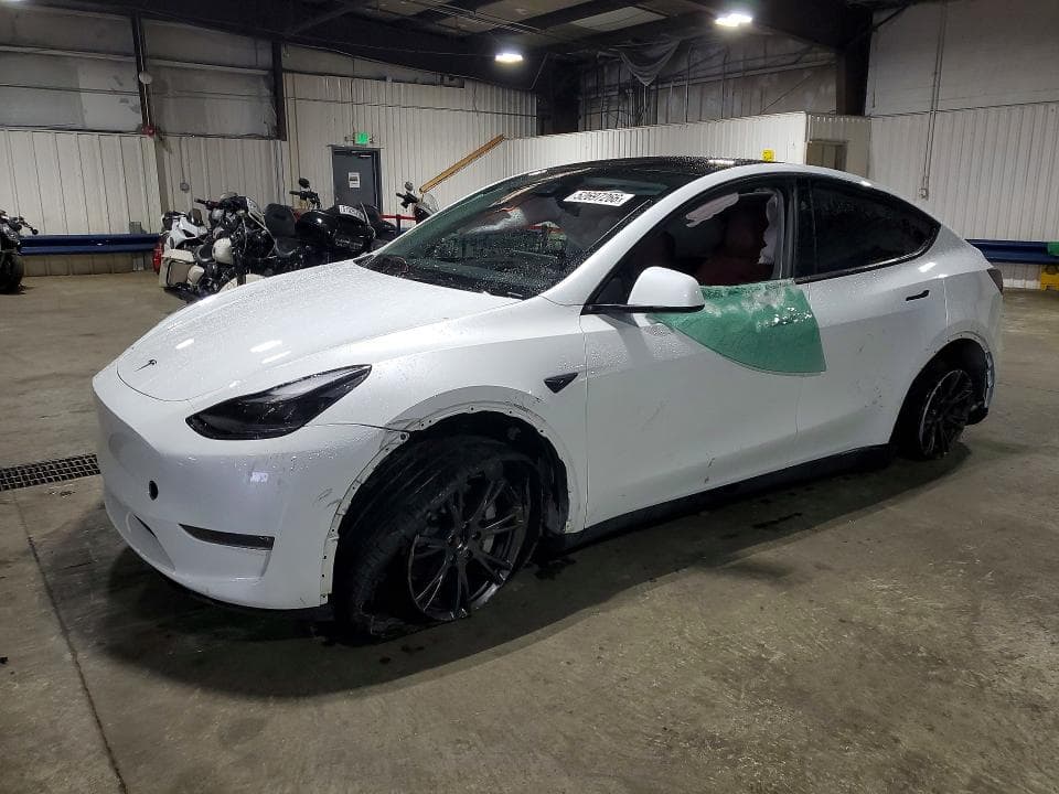2025 TESLA MODEL Y - 1