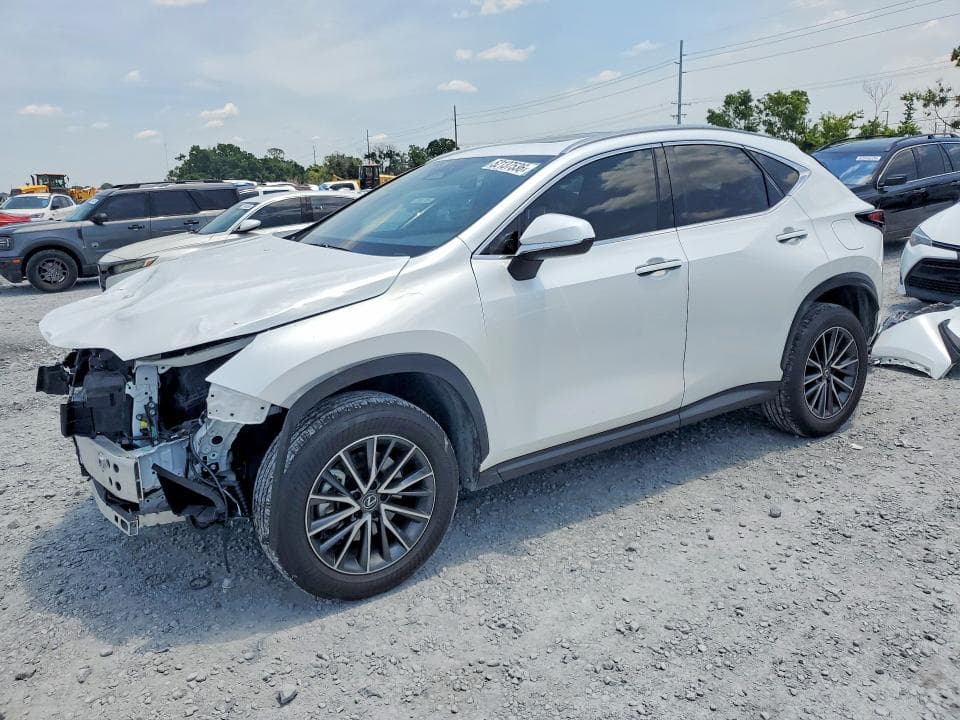 2024 LEXUS NX