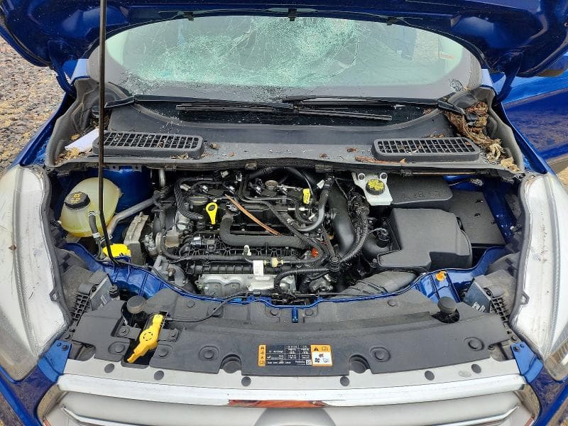 2019 FORD ESCAPE SEL 11