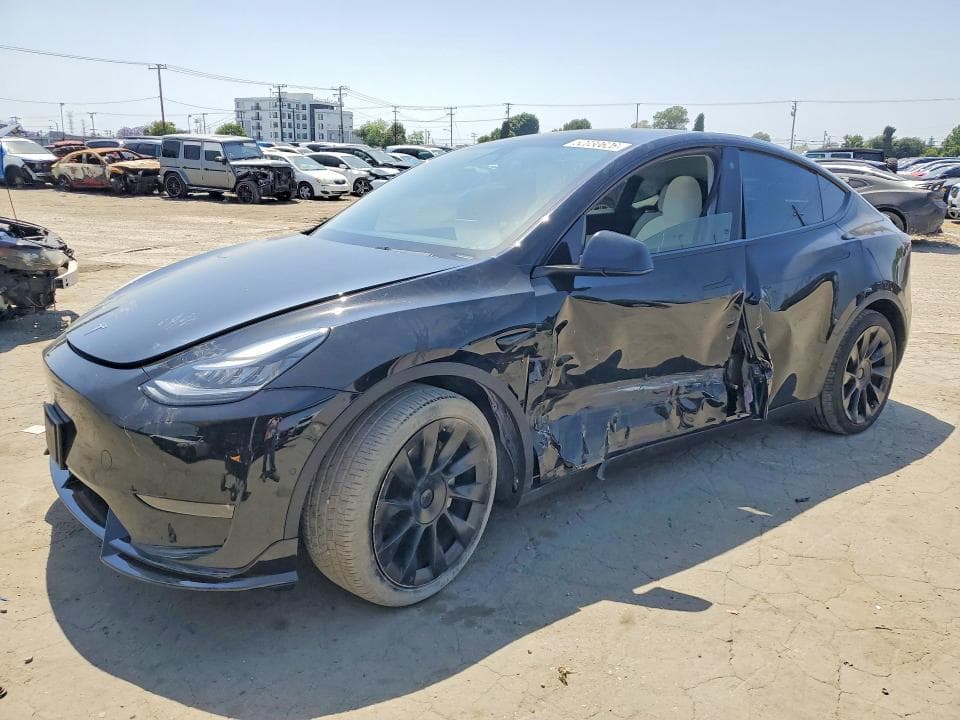 2021 TESLA MODEL Y - 1