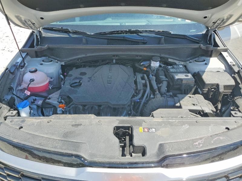 2026 KIA SPORTAGE EX 12