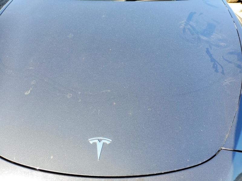 2024 TESLA MODEL Y 11