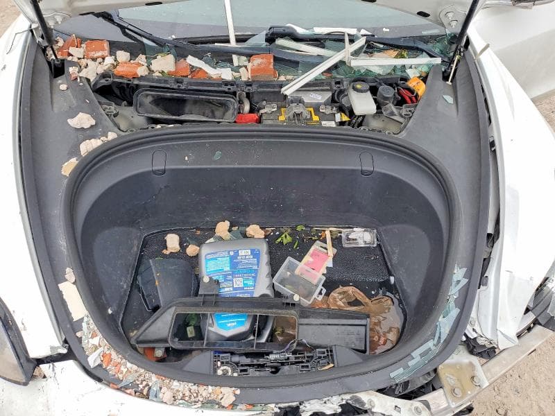 2019 TESLA MDL 3 11