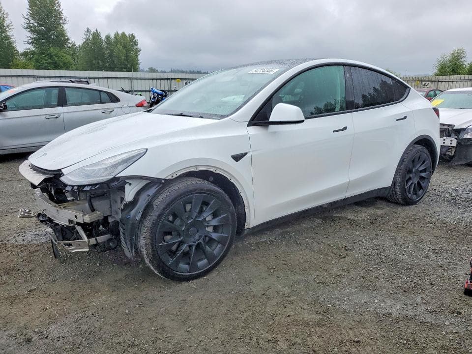 2021 TESLA MODEL Y - 1