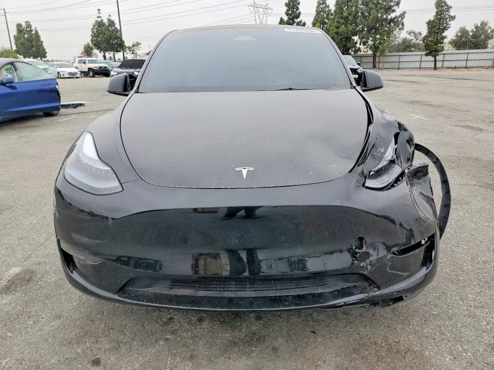 2024 TESLA MODEL Y 5