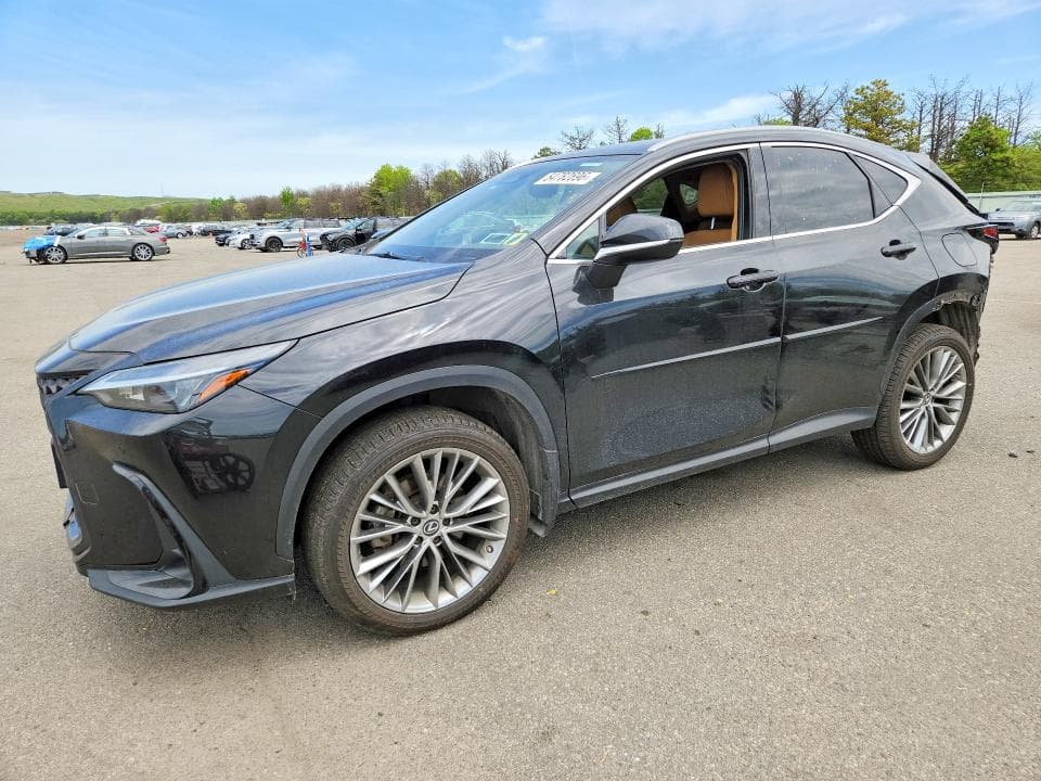 2022 LEXUS NX 350H - 1