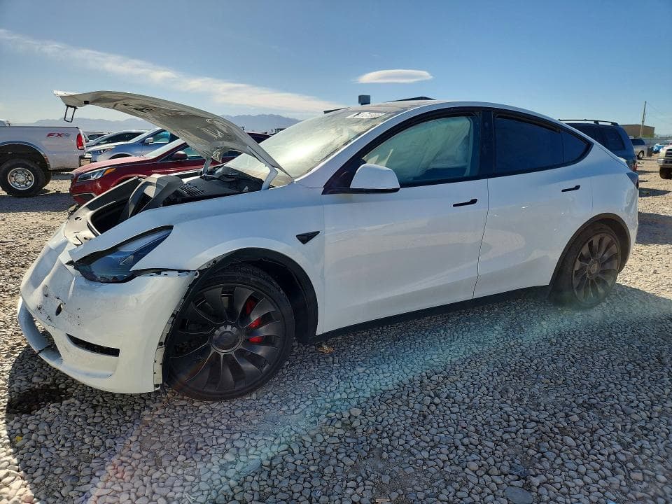 2023 TESLA MODEL Y - 1