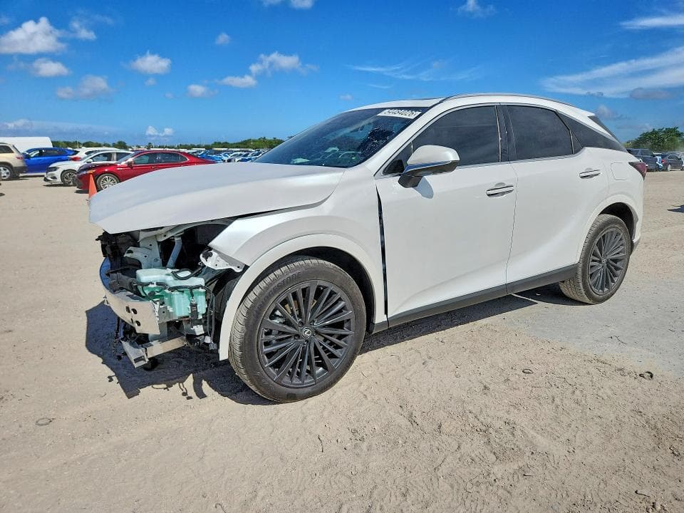 2025 LEXUS  - 1