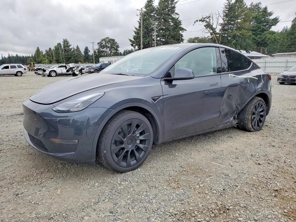 2025 TESLA MODEL Y - 1