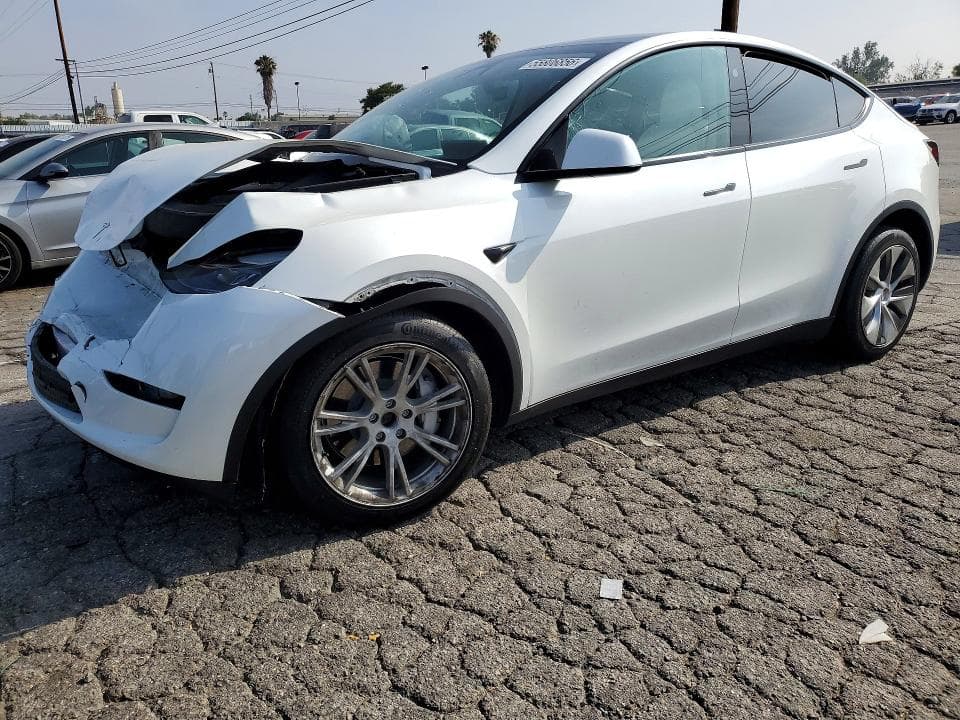 2023 TESLA MODEL Y - 1