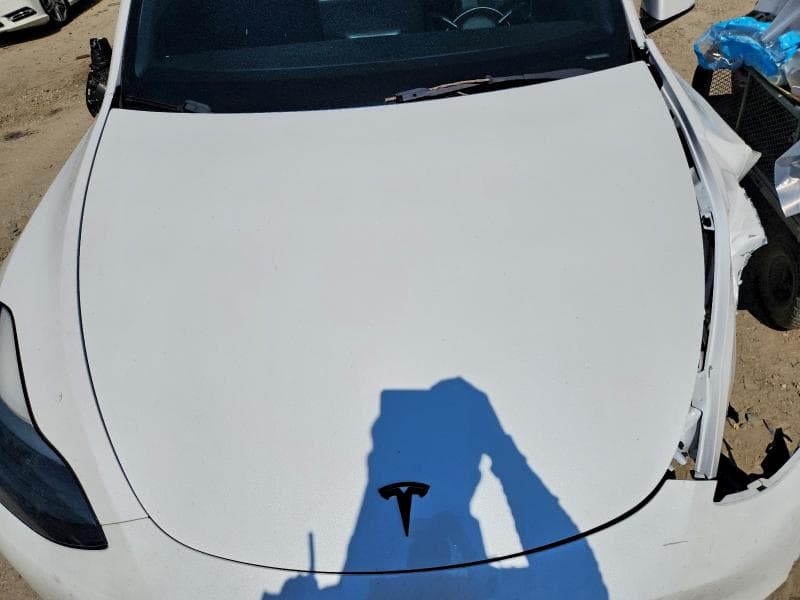 2023 TESLA MODEL Y 12