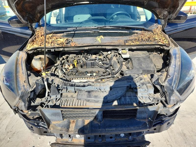 2019 FORD ESCAPE SE 12