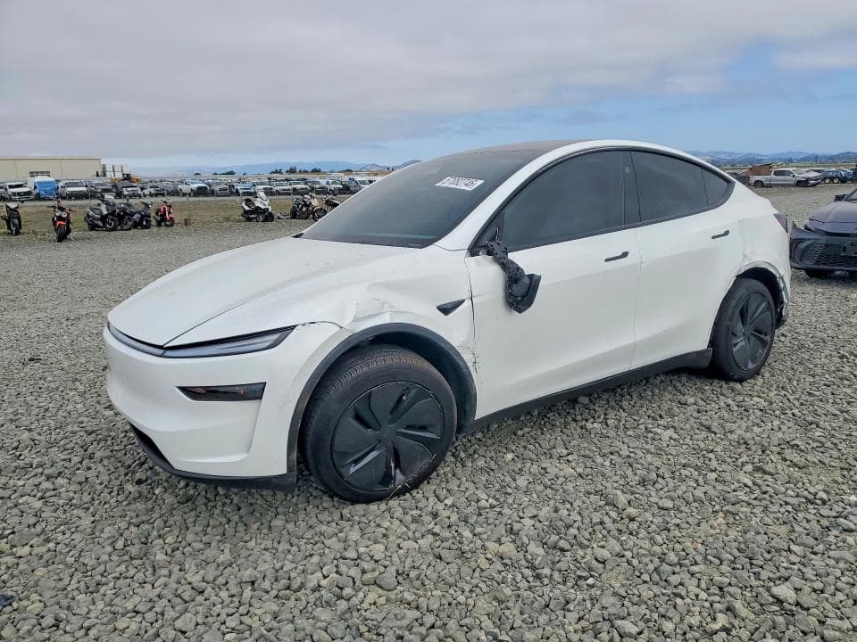 2026 TESLA MODEL Y - 1