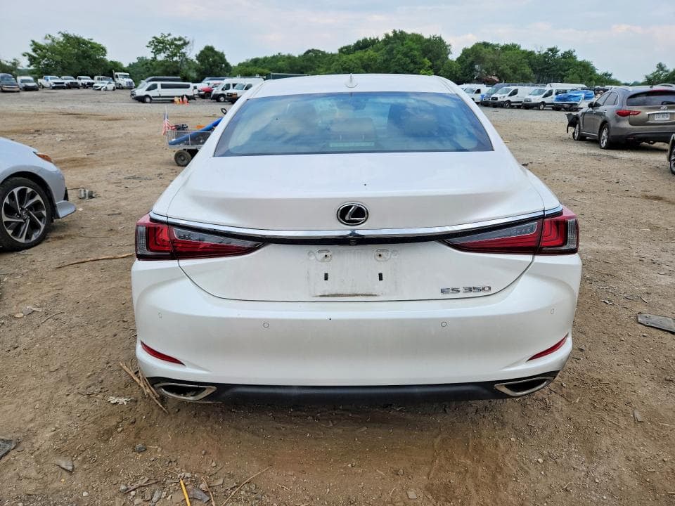2019 LEXUS ES 350 6