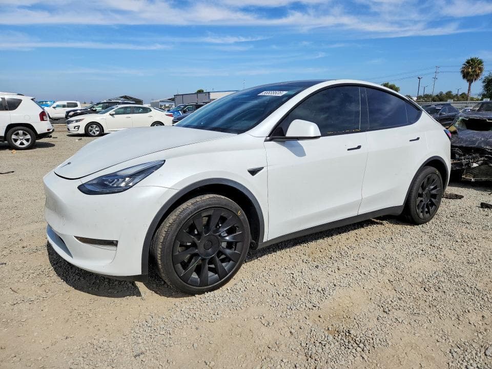 2022 TESLA MODEL Y - 1