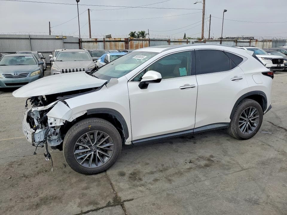 2025 LEXUS NX 250 BASE - 1