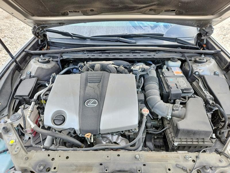 2019 LEXUS ES 350 11