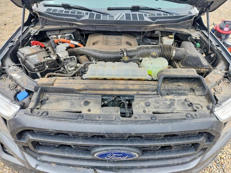 2023 FORD F150 SUPERCREW 11