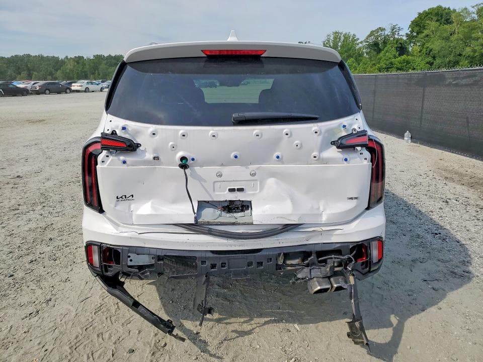 2025 KIA TELLURIDE EX 6
